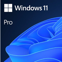Windows 11 PRO  CZ OEM